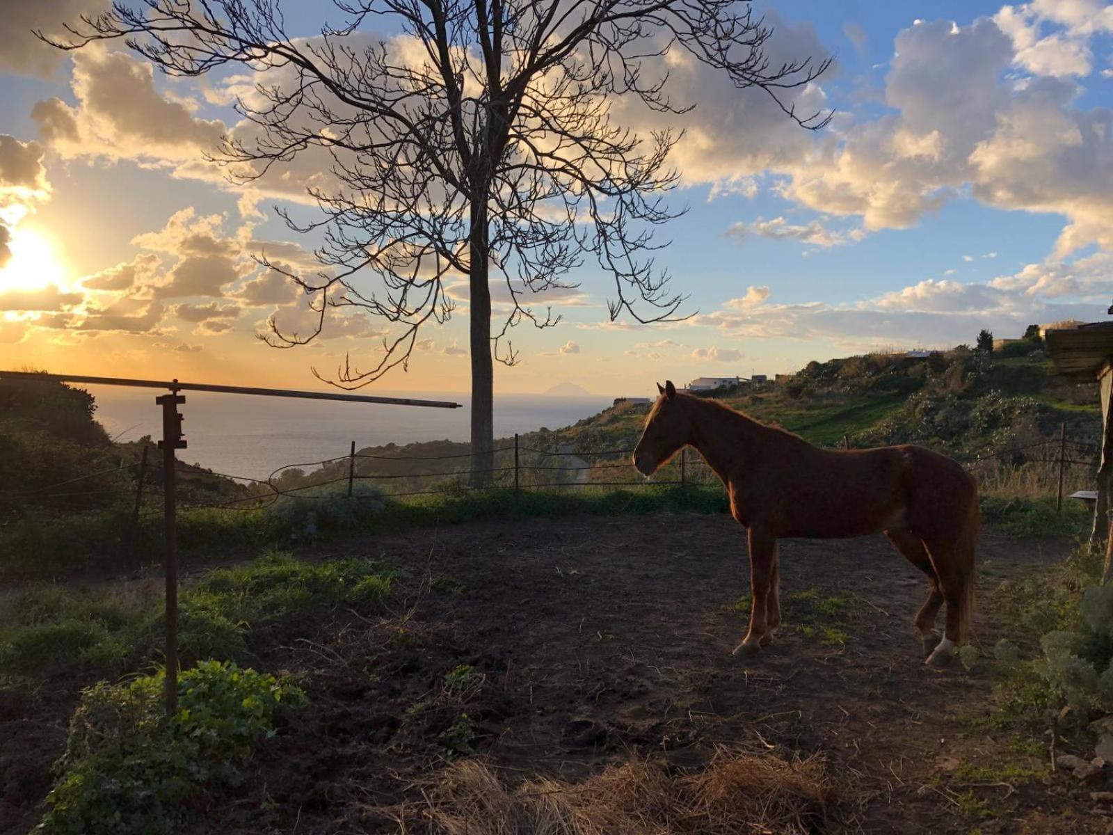 Agriturismo U Zu Peppino Lípara Exterior foto