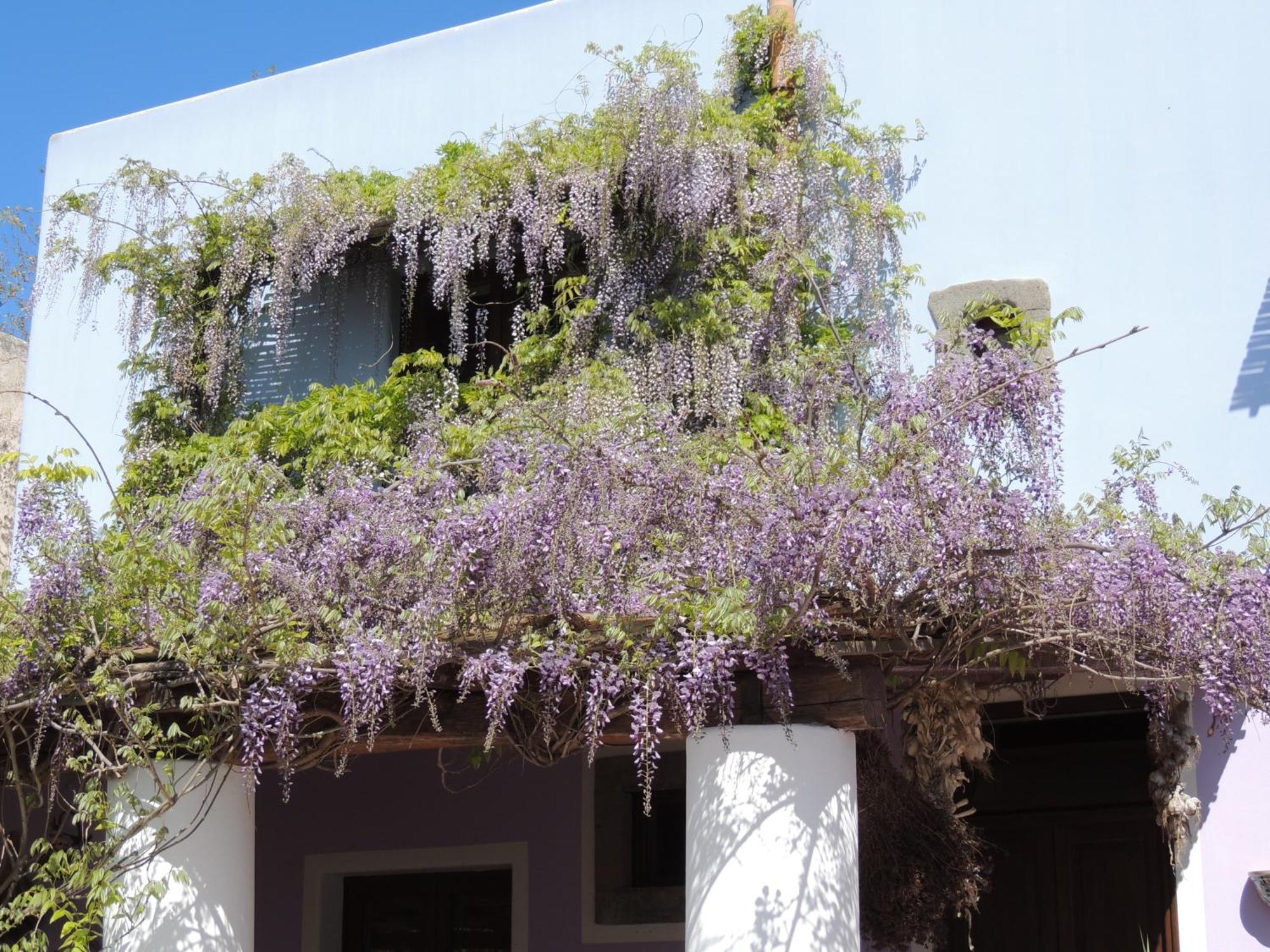 Agriturismo U Zu Peppino Lípara Exterior foto